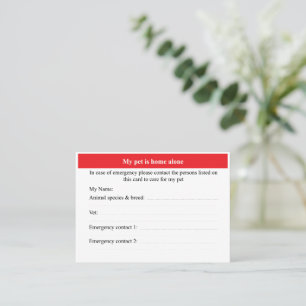 Pet Home Alone Business Card