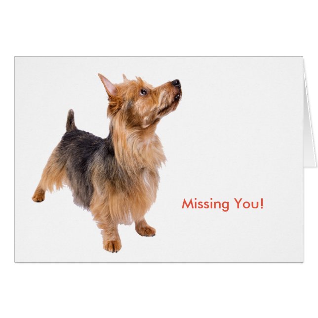 Pet image for Greeting card (Front Horizontal)