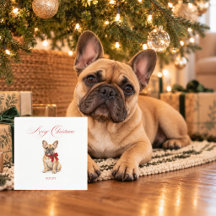 Pet Image French Bulldog Christmas Cocktail
