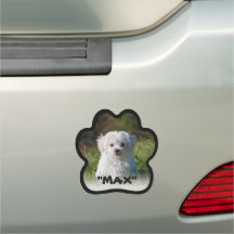 Pet image Paw shaped border text