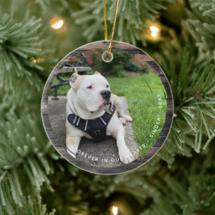 Pet Keepsake Circular Grunge 2 Photo Ceramic Ornament