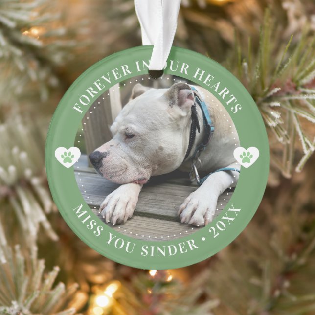 Pet Loss Memorial Keepsake Photo Modern Ornament (Tree)
