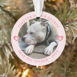 Pet Loss Memorial Keepsake Photo Modern Ornament