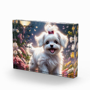 Pet Loss Memorial Photo Block