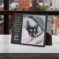 Pet Loss Pet Memorial Sweet Tribute Quote & Photo