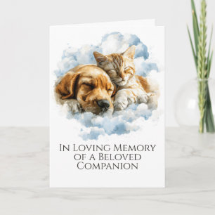 Pet Loss Sympathy Card Rainbow Bridge Dog Cat