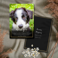 Pet Loss Sympathy Photo