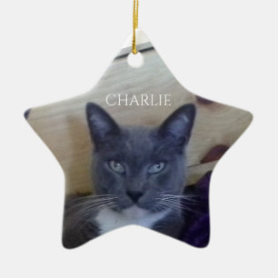 PET LOVE Ceramic Star Ornament