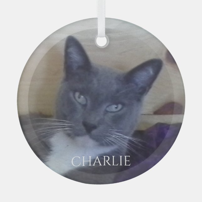 PET LOVE Cercle de verre ornement (Recto)