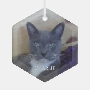 PET LOVE Glass Hexagon Ornament