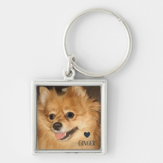 Pet Love Key Chain (Front)