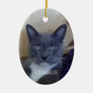 PET LOVE Oval Ceramic Ornament