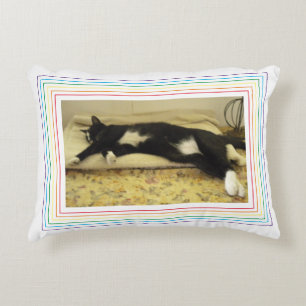 PET LOVE Pet Photo Accent Pillow / Rainbow