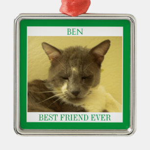PET LOVE Premium Square Ornament + Text / Green