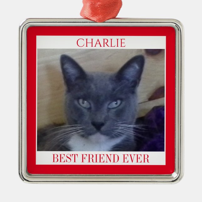 PET LOVE Premium Square Ornament + Text / Red (Front)
