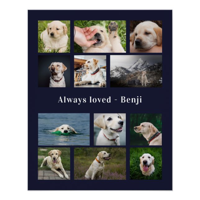 Pet Lover Keepsake Poster (Front)