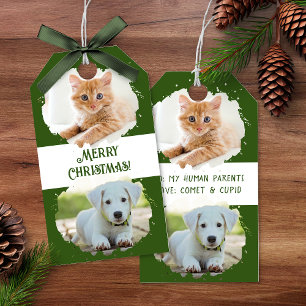 Pet Lovers Personalized Two Photos Green Christmas Gift Tags