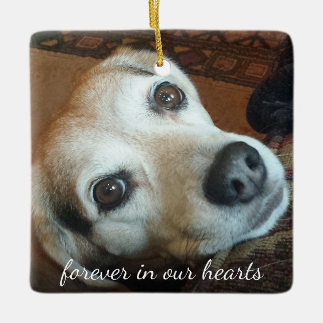 Pet Memorial 2 Photo Forever In Our Hearts Ceramic Ornament (Front)