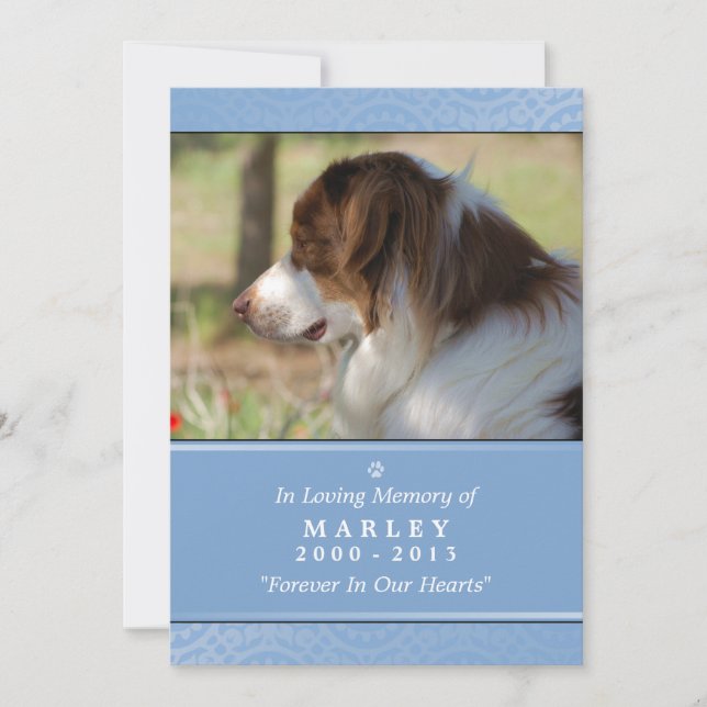 Pet Memorial 5x7 Light Blue God Saw You Poem Announcement (Front)