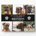 Pet Memorial 6 x Photo In Loving Memory