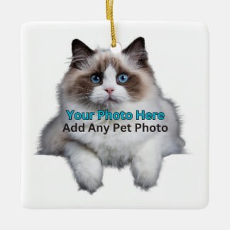 Pet Memorial/ Add Photo and Personalize Ceramic Ornament