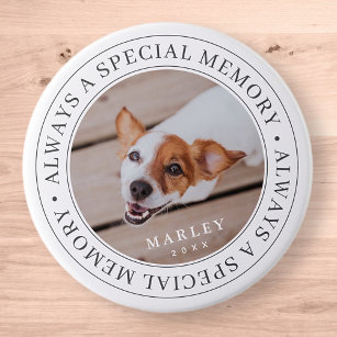 Pet Memorial Always a Special Memory Modern Photo 3 Inch Round Button