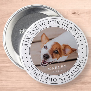 Pet Memorial Always In Our Hearts Modern Photo 3 Inch Round Button