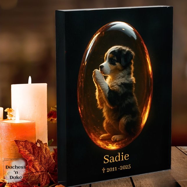 Pet Memorial Australian Shepherd Amber Canvas  Print (Pet Memorial Australian Shepherd Amber Art Print)