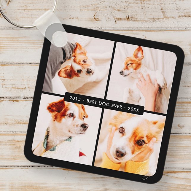 Pet Memorial Best Dog Ever Modern Photo Collage Keychain (Creator Uploaded)