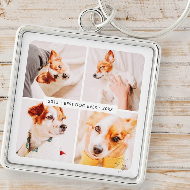 Pet Memorial Best Dog Ever Modern Photo Collage Keychain (Creator Uploaded)