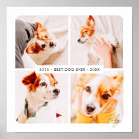 Pet Memorial Best Dog Ever Modern Photo Collage