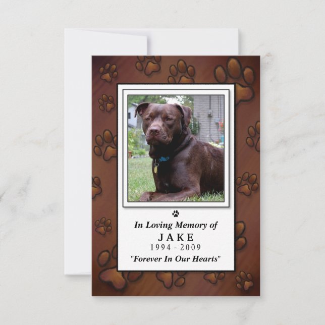 Pet Memorial Card 3.5"x5" - Chocolate Brown Photo (Front)