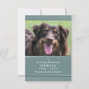 Pet Memorial Card 3.5x5 Teal Prayer for Pets