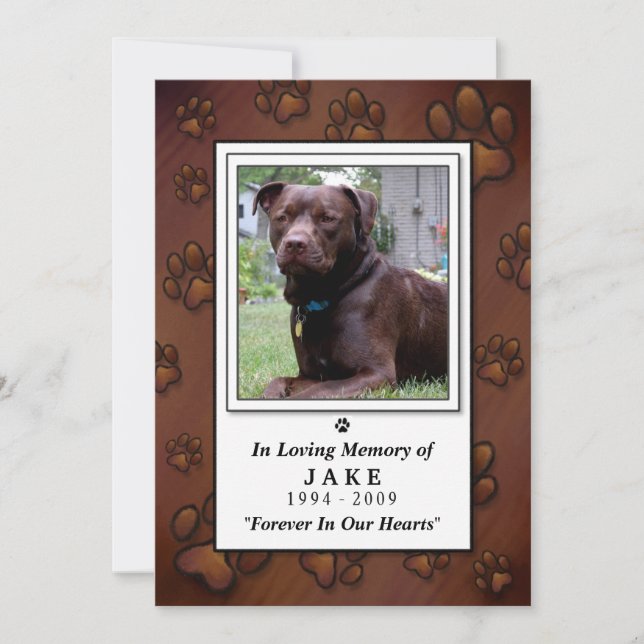 Pet Memorial Card 5"x7" - Chocolate Brown Photo (Front)