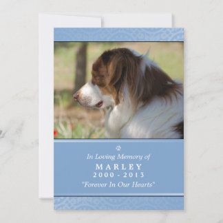 Pet Memorial Card 5"x7" Light Blue Pet's Prayer