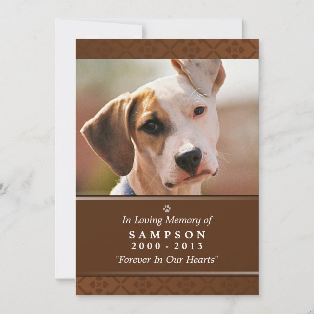 Pet Memorial Card 5"x7" Medium Brown Photo (Front)