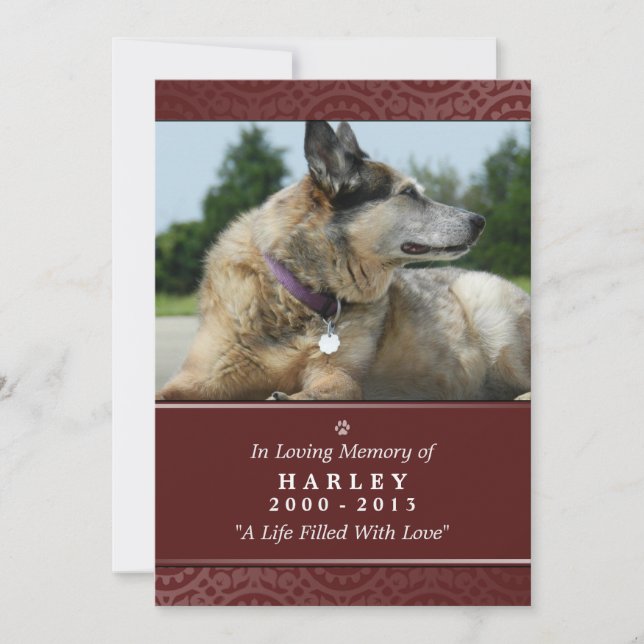 Pet Memorial Card 5"x7" Rainbow Bridge (Male) (Front)