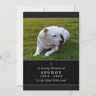 Pet Memorial Card 5 x 7 Black Photo Pet's Prayer