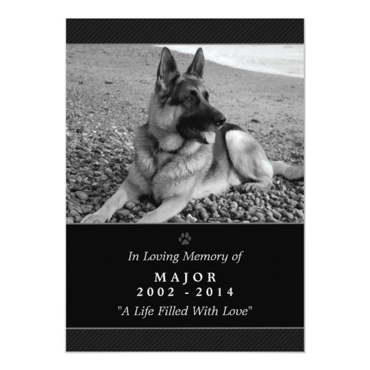 Pet Memorial Card 5x7 Black Rainbow Bridge Female