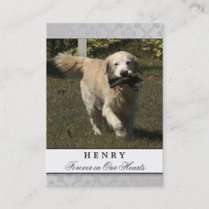 Pet Memorial Card Light Grey Contented Poem