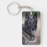 Pet Memorial Chien Photo Rainbow Bridge Perte d'an