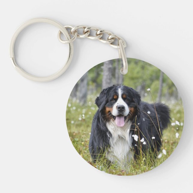 Pet Memorial Custom Dog Photo Rainbow Pet Loss Keychain (Front)