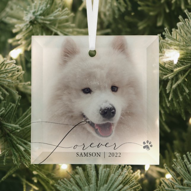 Pet Memorial | Custom Photo Dog Paw Print Glass Ornament (Insitu)