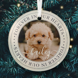 Pet Memorial Forever Hearts Elegant Chic Photo Glass Ornament