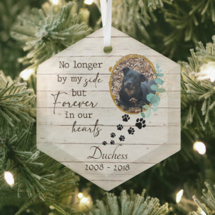 Pet Memorial Forever in Our Hearts  Glass Ornament