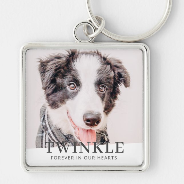 Pet Memorial Forever In Our Hearts Modern Photo Keychain (Front)