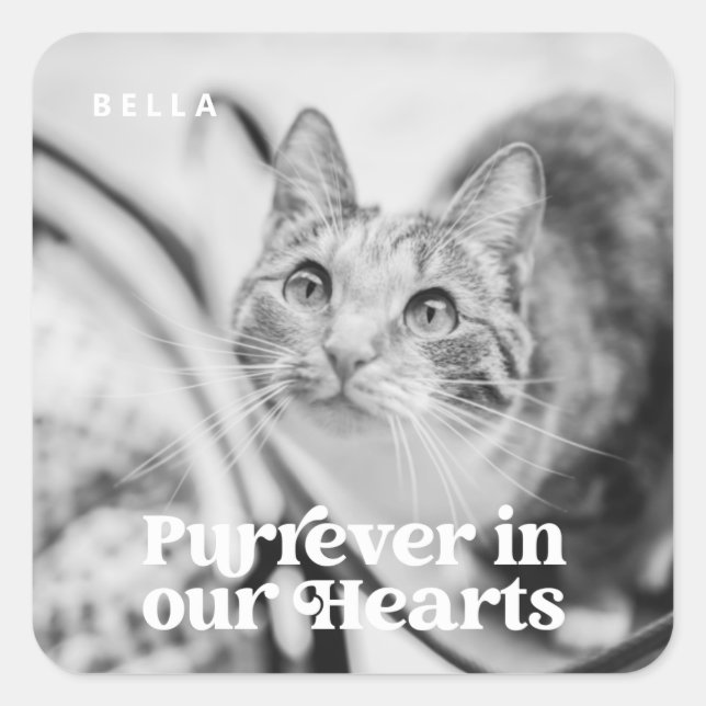 Pet Memorial Forever in our Hearts Simple Photo Square Sticker (Front)
