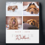 Pet Memorial Forever Loved Elegant 4 Photo Collage Plaque<br><div class="desc">Beautiful, elegant and minimalist pet memorial plaque to celebrate the life of your best friend (dog, cat, rabbit, bird, etc). Personalize this keepsake with your favourite 4 pet dog pictures, name and date. This template displays a 4 photo collage, the remembrance quote "forever loved" in serif grey font behind the...</div>