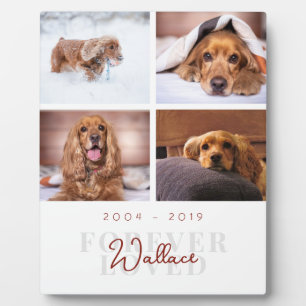 Pet Memorial Forever Loved Elegant 4 Photo Collage Plaque