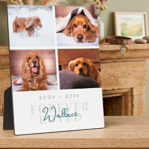 Pet Memorial Forever Loved Elegant 4 Photo Collage Plaque